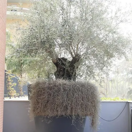 Thiago's Appartement